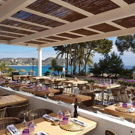 Lime Golden Star, Jávea